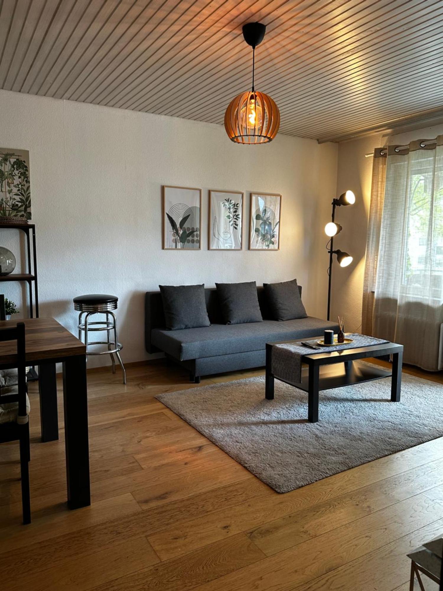 Gemuetliche Wohnung קרלסרוהה מראה חיצוני תמונה